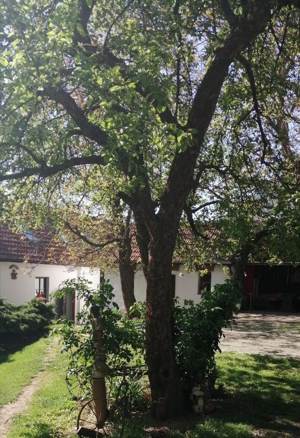 Keramický a výtvarný ateliér Konešín Konesin Exterior foto